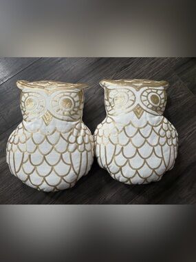 Decorative White and Gold Owl Throw Pillow Pair -